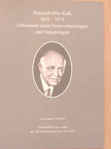 Egmont Wildhirt - Heinrich-Otto Kalk 1895-1973 [antikvár]