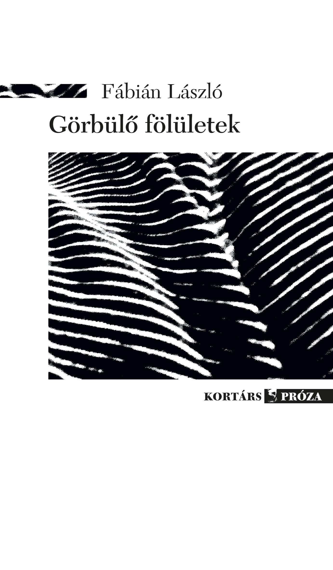 Fábián László - Görbülő fölületek