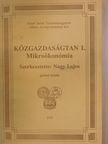 Lehoczki Zsuzsa - Közgazdaságtan I. [antikvár]