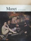 Nicholas Wadley - Manet [antikvár]