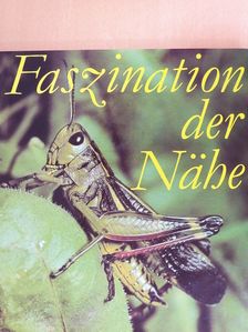 Roger Rössing - Faszination der Nähe [antikvár]