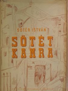 Sőtér István - Sötétkamra [antikvár]