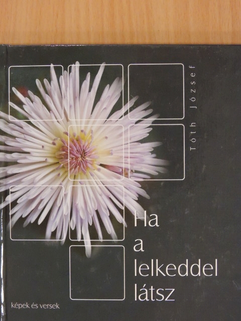 Tóth József - Ha a lelkeddel látsz [antikvár]