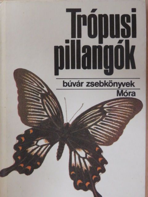 Mészáros Zoltán - Trópusi pillangók [antikvár]