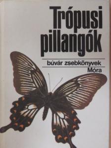 Mészáros Zoltán - Trópusi pillangók [antikvár]