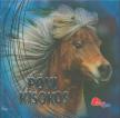 RANSFORD, SANDY - Póni kisokos [antikvár]