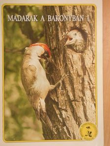 Barta Zoltán - Madarak a Bakonyban I. [antikvár]