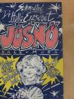 Schmidtné dr. Holló Erzsébet - A jósnő vallomása [antikvár]