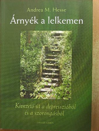 Andrea M. Hesse - Árnyék a lelkemen [antikvár]