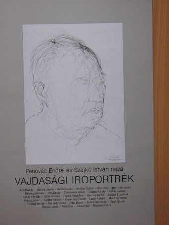 Penovác Endre - Vajdasági íróportrék [antikvár]