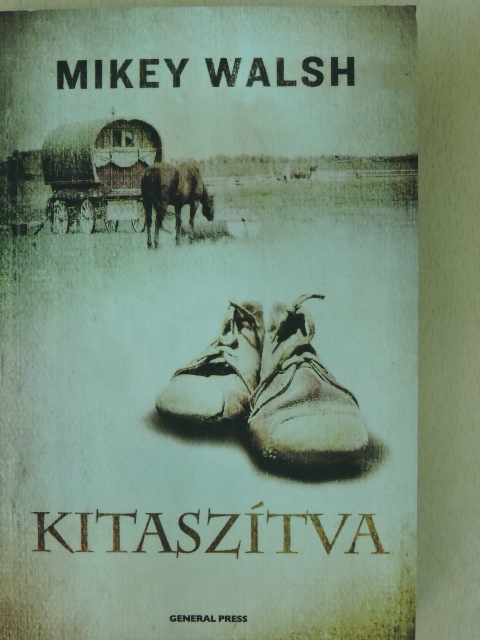 Mikey Walsh - Kitaszítva [antikvár]