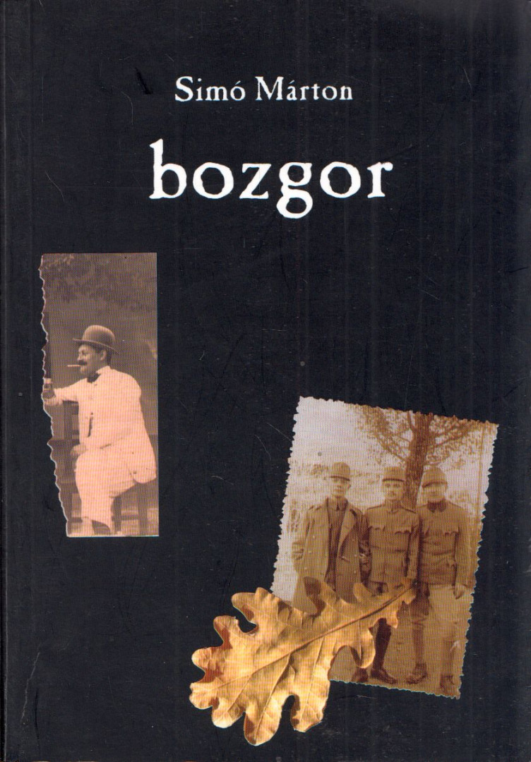 Simó Márton - Bozgor [antikvár]