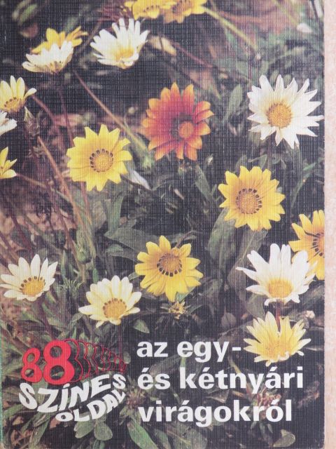 Dr. Szántó Matild - 88 színes oldal az egy- és kétnyári virágokról [antikvár]