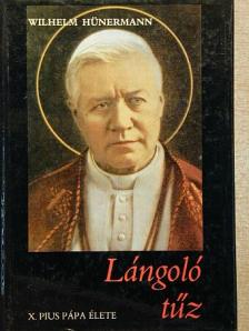 Wilhelm Hünermann - Lángoló tűz [antikvár]
