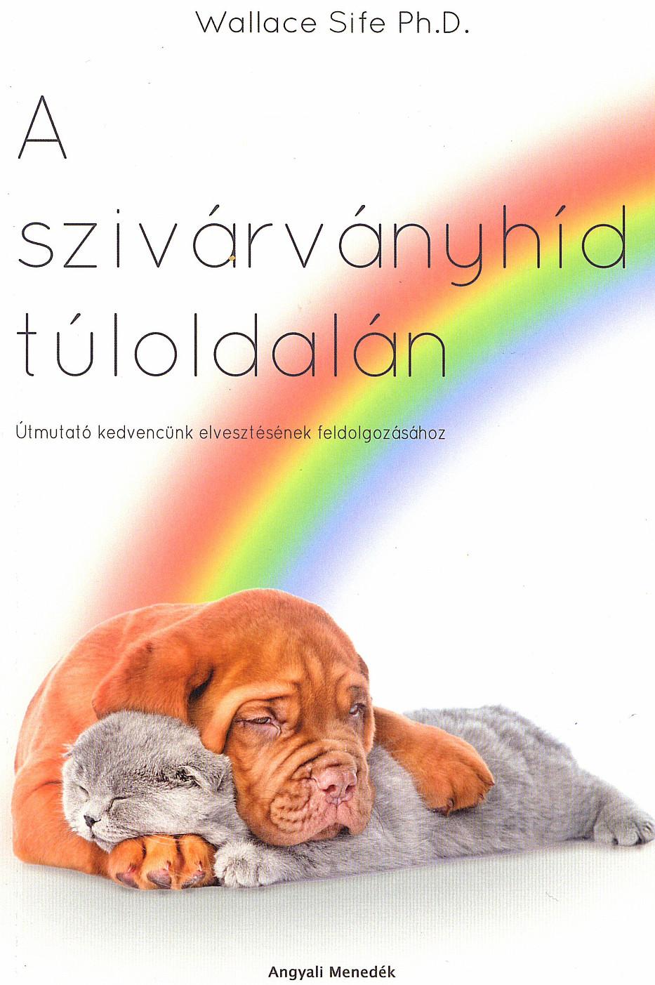 Wallace Sife Ph.D. - A szivárványhíd túloldalán