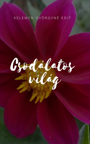 György Edit - Csodálatos világ [eKönyv: epub, mobi]