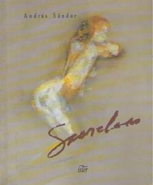 András Sándor - Szerelem [antikvár]
