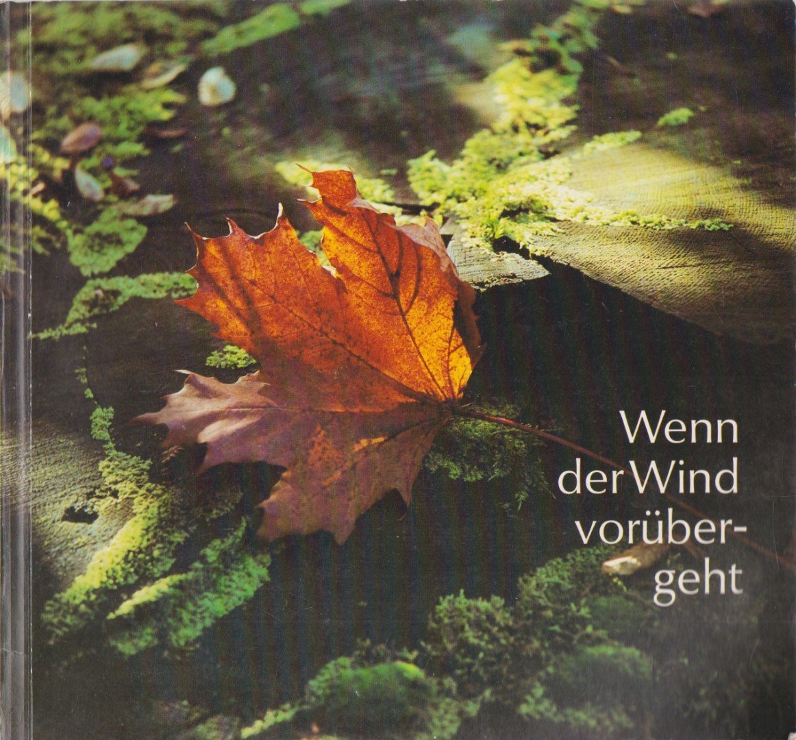 Borg, Renate - Wenn der Wind vorübergeht [antikvár]