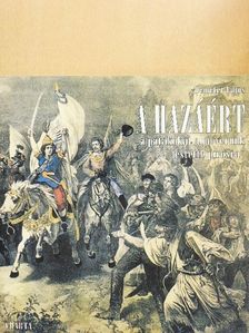 Demeter Lajos - A hazáért [antikvár]