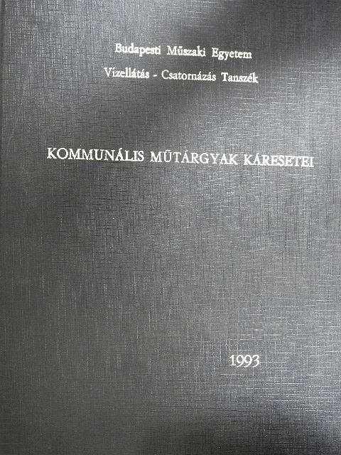 Kommunális műtárgyak káresetei [antikvár]