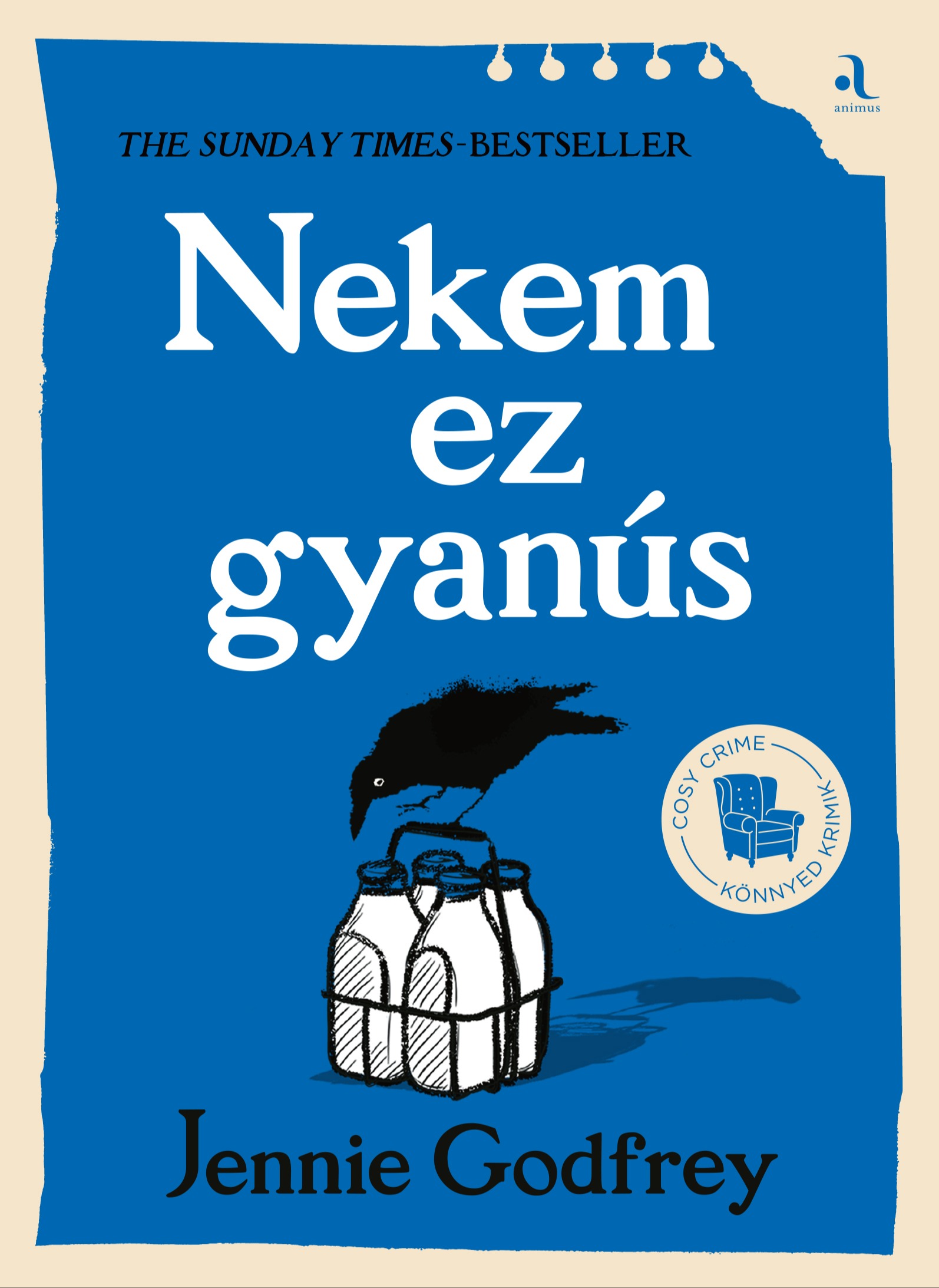 Jennie Godfrey - Nekem ez gyanús [eKönyv: epub, mobi]
