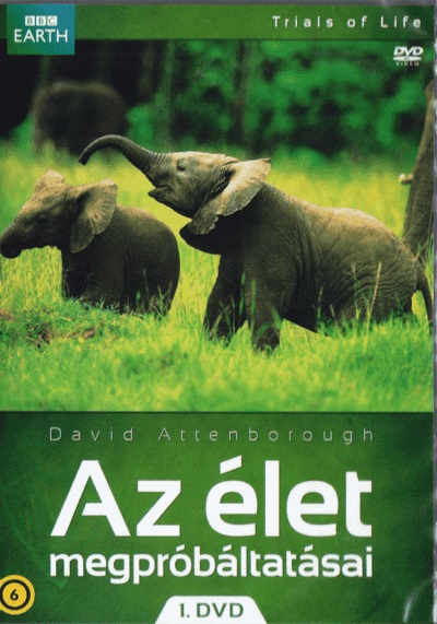 AZ ÉLET MEGPRÓBÁLTATÁSAI 1.
