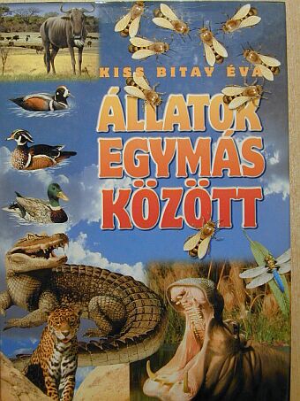 Kiss Bitay Éva - Állatok egymás között [antikvár]