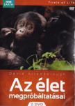 AZ ÉLET MEGPRÓBÁLTATÁSAI 2.