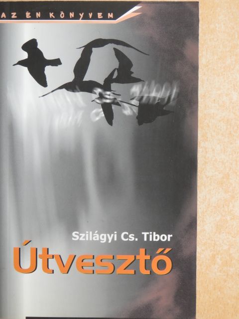 Szilágyi Cs. Tibor - Útvesztő [antikvár]