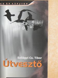 Szilágyi Cs. Tibor - Útvesztő [antikvár]