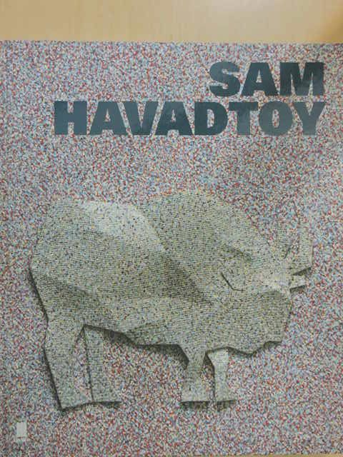 Arturo Schwarz - Sam Havadtoy [antikvár]