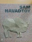 Arturo Schwarz - Sam Havadtoy [antikvár]
