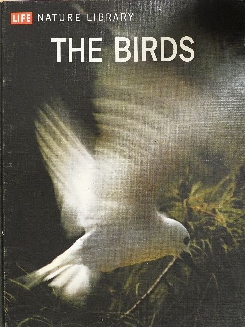 Roger Tory Peterson - The Birds [antikvár]