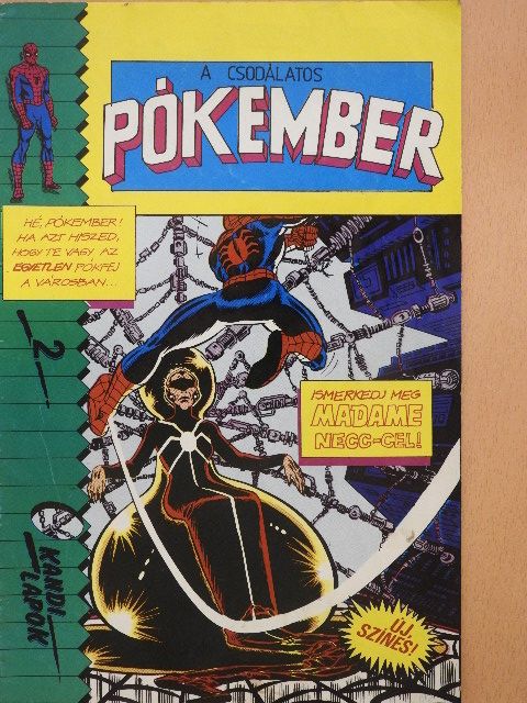 Stan Lee - A Csodálatos Pókember 2. [antikvár]