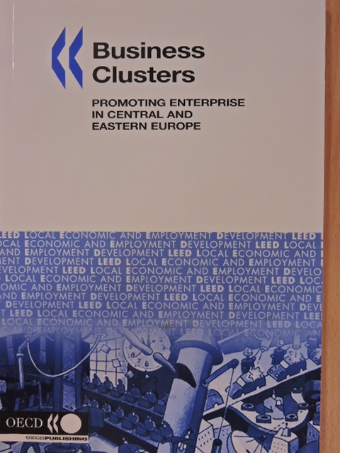 Dina Ionescu - Business Clusters [antikvár]