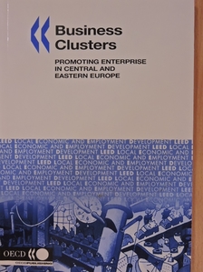 Dina Ionescu - Business Clusters [antikvár]