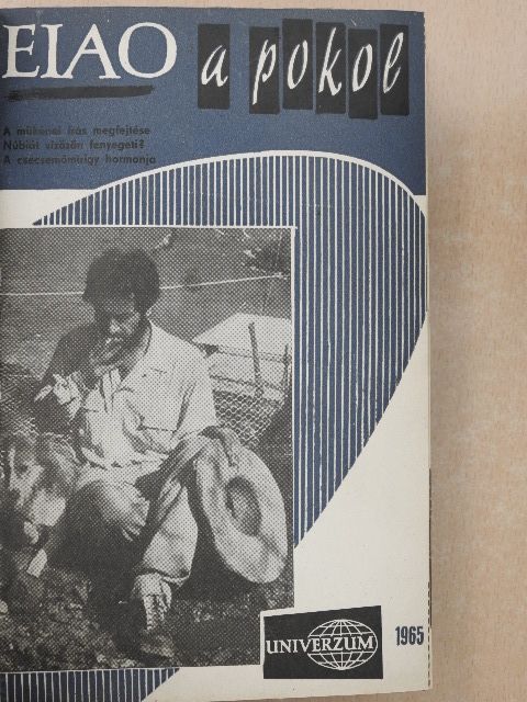 Dr. Székely Sándor - Univerzum 1965. (nem teljes évfolyam) [antikvár]