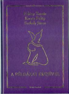 Székely János, Fabiny Tamás, Kocsis Fülöp - A példázat erejével [antikvár]