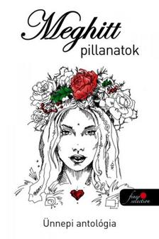 több szerző - Meghitt pillanatok - karácsonyi antológia [szépséghibás]