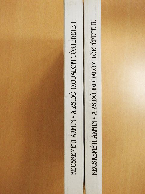 Kecskeméti Ármin - A zsidó irodalom története I-II. [antikvár]