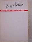 Bruno Walter - Téma variációkkal [antikvár]