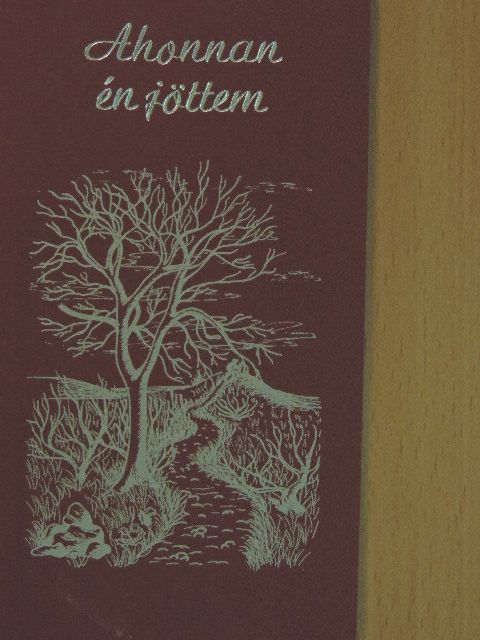 Baksa Bernadett - Ahonnan én jöttem [antikvár]