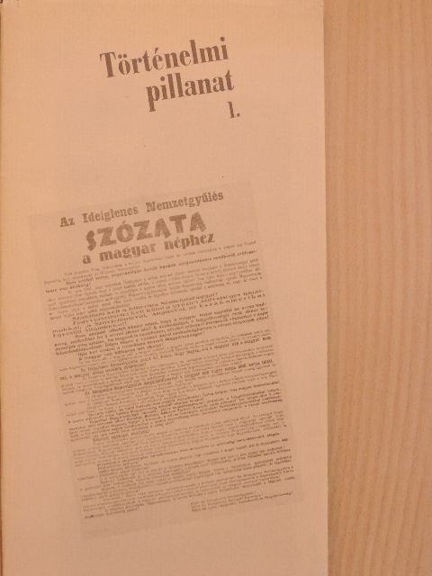 Bárányi Béla - Történelmi pillanat 1. [antikvár]