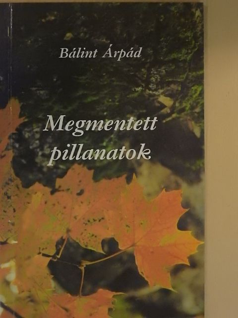 Bálint Árpád - Megmentett pillanatok [antikvár]