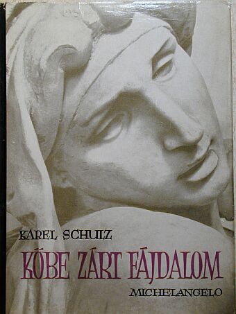 Karel Schulz - Kőbe zárt fájdalom [antikvár]
