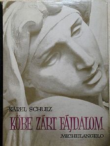Karel Schulz - Kőbe zárt fájdalom [antikvár]