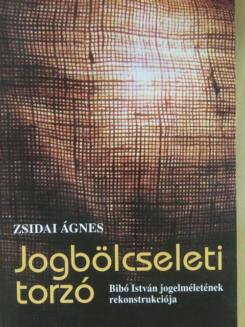 Zsidai Ágnes - Jogbölcseleti torzó [antikvár]