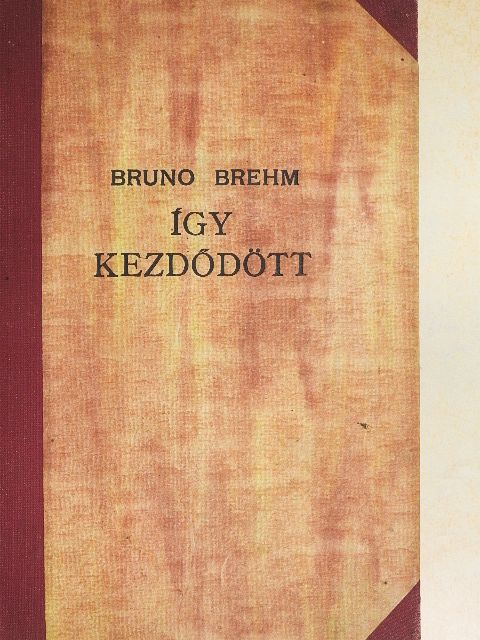 Bruno Brehm - Így kezdődött [antikvár]