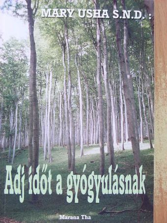 Mary Usha - Adj időt a gyógyulásnak [antikvár]