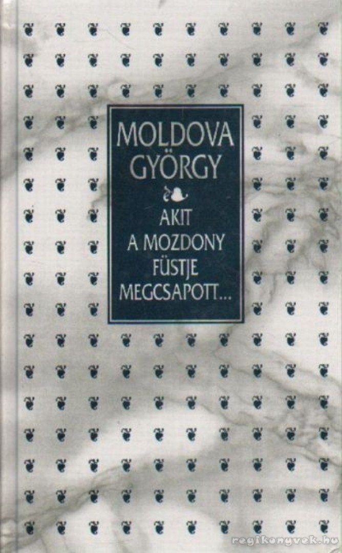 Akit a mozdony füstje megcsapott... [antikvár]
